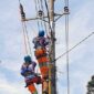Perbaikan Jaringan. FOTO : IG PLN UP3 Jambi