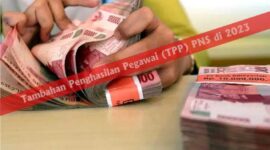 Ilustrasi Pembacaran TPP ASN Tahun 2023