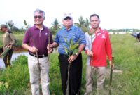 FOTO : Bupati Dr. H. Safrial Memimpin Penanaman Pohon Mangrov Bersama PetroChina Internasional Jabung Ltd dengan lokasi di Simpang Pelabuhan Roro menuju Desa Tungkal I, Jum'at (07/02/20)