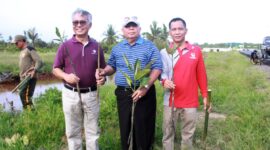 FOTO : Bupati Dr. H. Safrial Memimpin Penanaman Pohon Mangrov Bersama PetroChina Internasional Jabung Ltd dengan lokasi di Simpang Pelabuhan Roro menuju Desa Tungkal I, Jum'at (07/02/20)