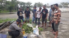 FOTO : Kegiatan Sosialisasi dan Edukasi 