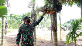 FOTO : Danrem 042/Gapu Brigjen 042/Gapu Brigjen TNI M. Zulkifli  Saat Menegang Buah Pinang Ketika Berkunjung Ke Lokasi TMMD Kodim 0419/Tanjab di Desa Labuhan Pering,  Rabu (15/07/20)