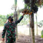 FOTO : Danrem 042/Gapu Brigjen 042/Gapu Brigjen TNI M. Zulkifli  Saat Menegang Buah Pinang Ketika Berkunjung Ke Lokasi TMMD Kodim 0419/Tanjab di Desa Labuhan Pering,  Rabu (15/07/20)