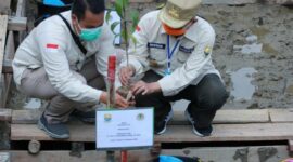 FOTO : Fachrori Saat Menanam Mangrove pada Peringatan Hari Mangrove se Dunia Tingkat Provinsi Jambi Tahun 2020 di Pelabuhan Roro Kuala Tungkal, Kabupaten Tanjung Jabung Barat, Senin (03/08/20)