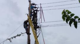 FOTO : Petugas PLN Melakukan Upaya Perbaikan di Titik Gangguan