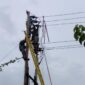 FOTO : Petugas PLN Melakukan Upaya Perbaikan di Titik Gangguan