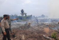 FOTO : Lokasi Lahan milik Wahono yang dibersihkan dengan cara di bakar.