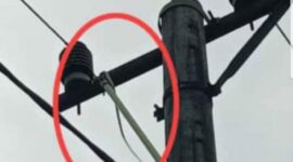 FOTO : Ada Ular di Atas Braket di salah satu tiang PLN di wilayah Pulau Pinang/Ist