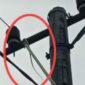 FOTO : Ada Ular di Atas Braket di salah satu tiang PLN di wilayah Pulau Pinang/Ist