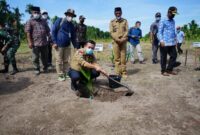 Gubernur Jambi, Al Haris Saat Melakukan Penanaman Pohon Pinang di Sadu, Tanjab Timur (15/07/21).