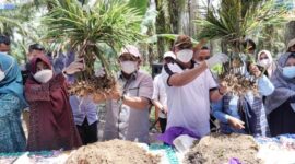 Bupati H. Anwar Sadat dan Wabup Hairan Ketika Panen Raya Jahe Merah di Desa Sungai Muluk, Kecamatan Muara Papalik, Rabu (11/08/21). FOTO : PROKOPIM.