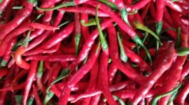 FOTO : Cabai Merah Di Pasam Tradisional Sebubuk Muaro Jambi