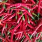 FOTO : Cabai Merah Di Pasam Tradisional Sebubuk Muaro Jambi