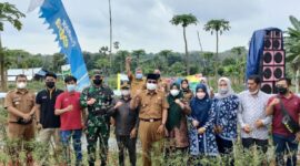 Kegiatan panen raya cabai merah di Desa Lubuk Terentang, Kecamatan Betara, Selasa (18/1/22). FOTO : Pendimtanjab