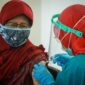 Vaksinasi Kabupaten Kota di Provinsi Jambi Sudah Capai 70 Persen. FOTO : Istimewa