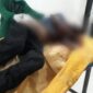 Penemuan mayat di Jalan Haji Muji parit 7 Tembilahan Hulu. FOTO : Ist/haluanriau.co.