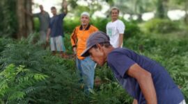 Tradisi Bersih Kubur Sambut Ramadhan Punya Makna Tersendiri Bagi Warga Desa Senaung