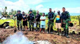 TNI Diperbatasan Bantu Warga Bercocok Tanam