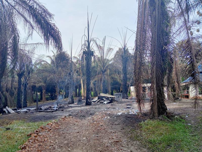 Tampak Sisa Puing-Puing Kebakaran dan Pohon Sawit Sekitar Ikut Terbakar. FOTO : Polsek Tk Ulu