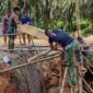 Anggota Satgas TMMD ke-113 Kodim 0419/Tanjab bersama Warga Masyarakat melakukan pengerjaan pemasangan Box Culvert, Jum'at (3/6/2022). FOTO : Pendim Tjb