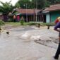Penampakan Jembatan Penghubung 22 Desa di Sungai Bahat dibangun secara Swadaya Masyarakat Ambruk. FOTO : IST