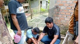 Terduka Pelaku BK alias BD Saat Diamankan Polsek Pamenang Polres Merangin. FOTO : IST.