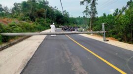 Kondisi Dua Tiang Listrik milik PLN Tumbang ke Jalan di Wilayah Sungai Toman Kabupaten Tanjung Jabung Timur, Minggu (6/11/22). FOTO : Ist