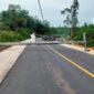 Kondisi Dua Tiang Listrik milik PLN Tumbang ke Jalan di Wilayah Sungai Toman Kabupaten Tanjung Jabung Timur, Minggu (6/11/22). FOTO : Ist