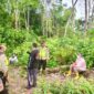 Polsek dan Warga Pauh Sisir Perkebunan Hingga Sungai Cari Korban Hilang. [FOTO : Situs Polri.go.id]