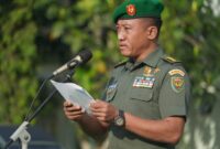 Kasrem 042/Gapu Kolonel Inf Ali Aminudin, SE, MM