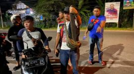 Polisi Menunjujan Salah Satu BB Berupa Kayu Bulat yang diamankan dari Kelompol RK Family. FOTO : HMS