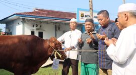 Kapolres Tanjung Jabung Barat AKBP Padli Menyerahkan Hewan Kurban Kepada Panitia Penyembelih. FOTO : BAS/LT