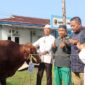 Kapolres Tanjung Jabung Barat AKBP Padli Menyerahkan Hewan Kurban Kepada Panitia Penyembelih. FOTO : BAS/LT