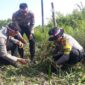 Kapolres Tanjung Jabung Barat AKBP Padli, SH, SIK, MH menanam bibit pohon di Desa Pembengis, Rabu (23/8/23). FOTO : LT 