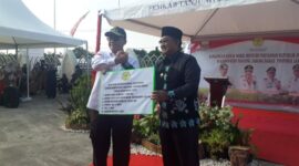 Wamentan Ir Harvick Hasnul Qolbi menyerahkan secara simbolis bantuan benih dan alat pertanian ke Bupati H Anwar Sadat. FOTO : LT