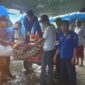Petugas Damkar dan Penyelamatan Pos Pengabuan mengamankan Buaya, Rabu (20/9/23). FOTO : Dok Damkar 