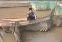 Warga Menunjukan Ikan Mati di Sungai Panaradan yang Diduga Sungai Tercemar oleh Aksi Penangkapan Ikan dengan Cara Diracun. [FOTO : BOY/LT]