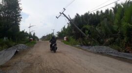 Kondisi Tiang Listrik di Parit 6 Desa Tungkal I yang Nyaris Roboh, Minggu (29/10/23). FOTO : LT 