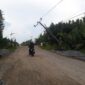 Kondisi Tiang Listrik di Parit 6 Desa Tungkal I yang Nyaris Roboh, Minggu (29/10/23). FOTO : LT 