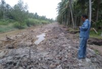 Kondisi Tanggul Sungai di Desa Sungai Gebar Barat Kuala Betara yang mengalami Longsor. FOTO : LT