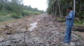 Kondisi Tanggul Sungai di Desa Sungai Gebar Barat Kuala Betara yang mengalami Longsor. FOTO : LT