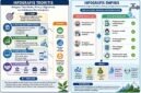 Membangun Masa Depan Organisasi yang Unggul melalui Integrasi Tata Kelola, Kinerja, Digitalisasi, dan Kolaborasi Berkelanjutan. (VISUAL : Dok. Pribadi)