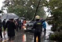 Mobil Tertimpa Pohon Besar saat Melintas di Jalan Jambi-Sabak, 1 Orang Perwira Polisi Meninggal Dunia. FOTO : PIKUR