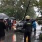 Mobil Tertimpa Pohon Besar saat Melintas di Jalan Jambi-Sabak, 1 Orang Perwira Polisi Meninggal Dunia. FOTO : PIKUR