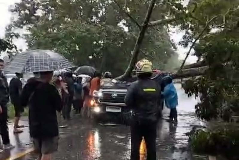 Mobil Tertimpa Pohon Besar saat Melintas di Jalan Jambi-Sabak, 1 Orang Perwira Polisi Meninggal Dunia. FOTO : PIKUR