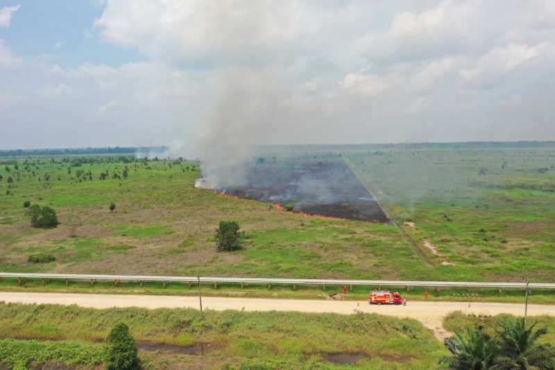 Kondisi Lahan yang terbakar. FOTO : Metrojambi