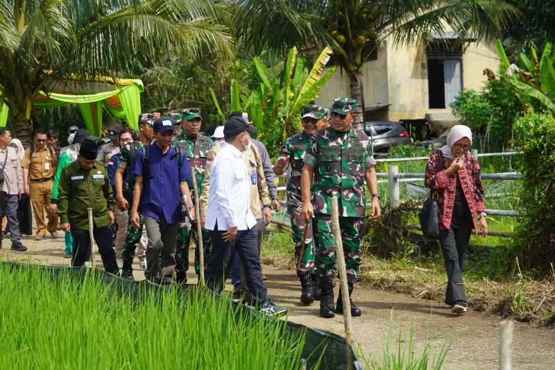 Danrem 042/Gapu Brigjen TNI Rachmad S.I.P tinjau Optimalisasi Lahan (Opla) Sawah di Desa Senaning, Kecamatan Pemayung, Kabupaten Batanghari, Selasa (28/05/2024). FOTO : Penrem042
