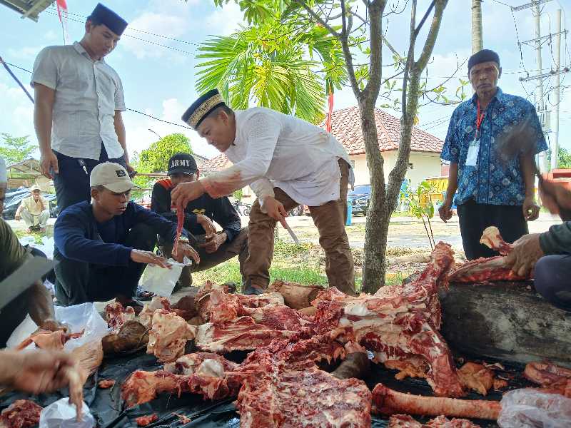 AKBP Agung Basuki, S. I. K., M. M pisahkan Daging dari Tulang Sapi untuk dibagikan ke Warga, Senin (17/6/24). FOTO : LT 