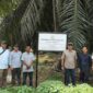 Penyidik Kejari Tanjab Barat bersama Pihak-pihak terkait saat penyitaan Lahan Perkebunan PT PSJ. FOTO : Dok Kejari