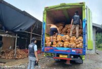 Personel Satreskrim Polres Tanjab Barat Lakukan Pemeriksaan Area dan Muata Truk di Lokasi Gudang Sungai Saren. 